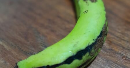 Banana Verde: Como Fazer Biomassa e Seus Benefícios Únicos