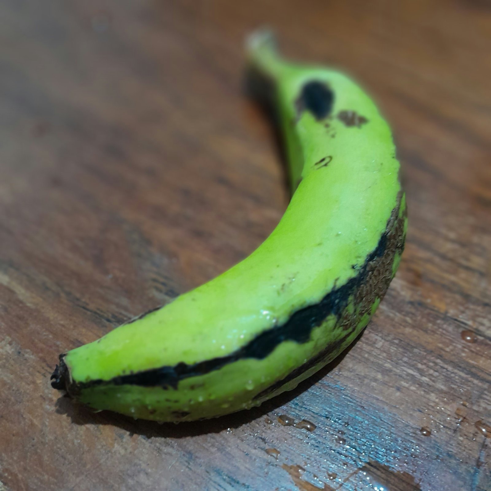 Banana Verde: Como Fazer Biomassa e Seus Benefícios Únicos 1 Banana Verde: Como Fazer Biomassa e Seus Benefícios Únicos